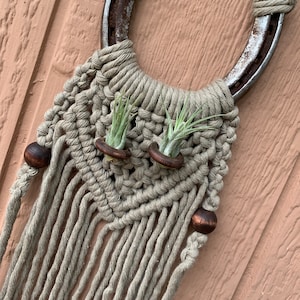 Macrame Air Plant Holder/Hanger