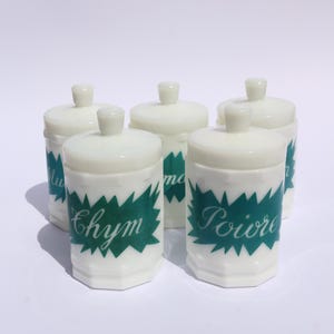 Peut inclure: Cinq pots à épices blancs avec couvercles assortis. Chaque pot présente un motif vert en zigzag avec un nom d'épice en écriture blanche. Les pots sont disposés sur une surface blanche.