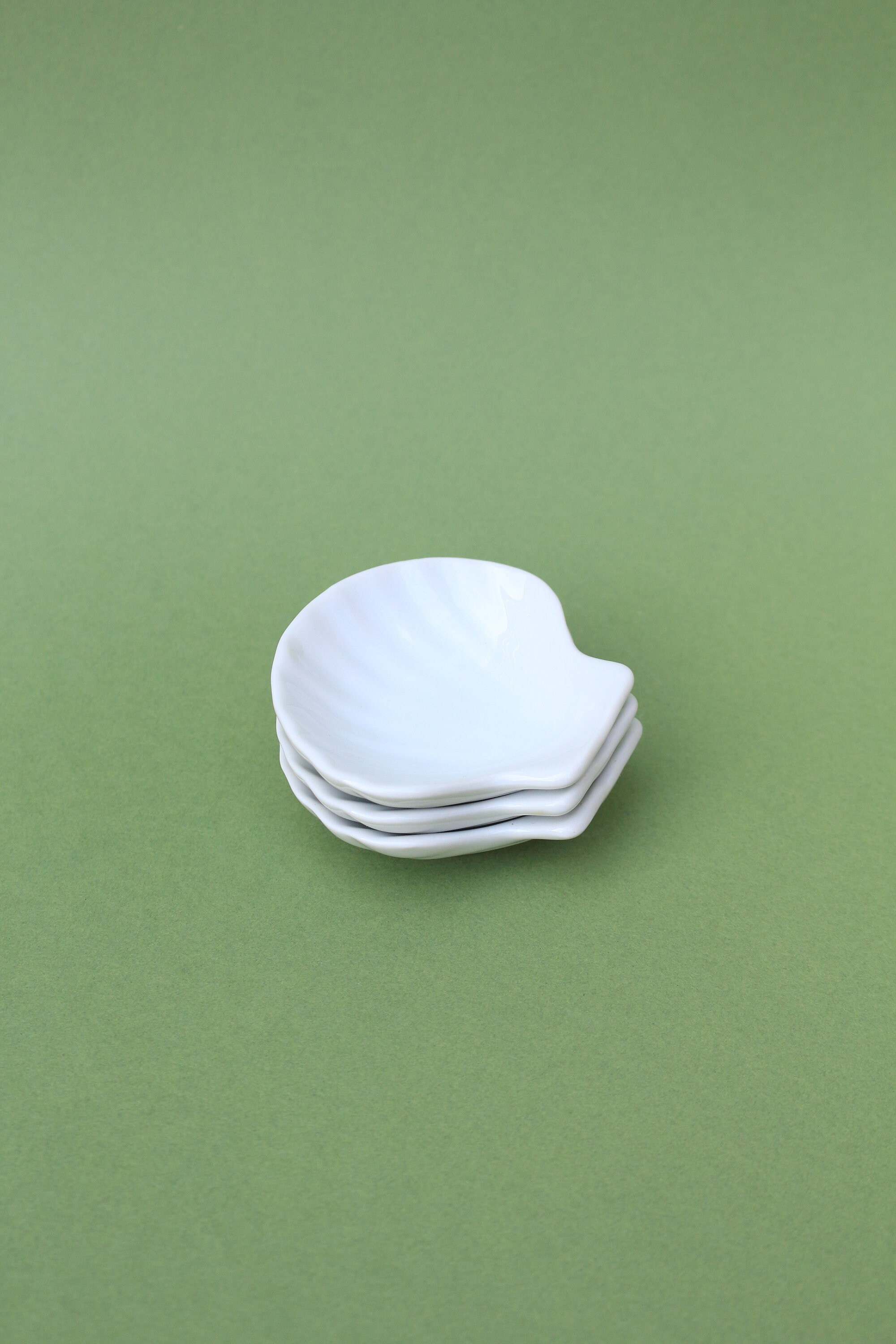 Lot de 3 Coquillages Porcelaine