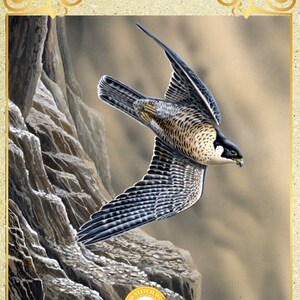 Wanderfalke SNOWBIRDS Kohlmeisen in der Birke Baum Vögel - Kreuzstich Anleitung PDF