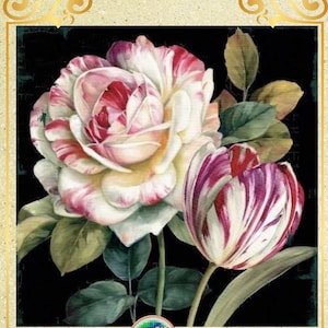 Tuinbloemen Stilleven van rozen Wilde rozen Pioenen Roze bloemen - Grafiek Geteld Kruissteekpatroon Handwerk PDF