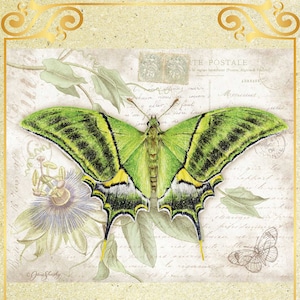 Großer grüner Flügel Schmetterling - Kreuzstichvorlage Zählmuster PDF