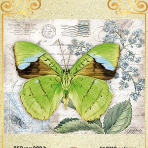 Großer grüner Flügel Schmetterling - Kreuzstichvorlage Zählmuster PDF
