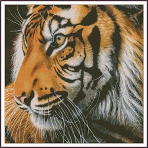 Tigerjunges Wildkatze Savanna - Stickmuster Kreuzstich Anleitung PDF
