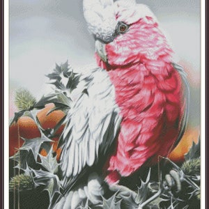 Galah-papegaaienmezen in berkenboomvogels - tabel geteld kruissteekpatroon handwerken pdf