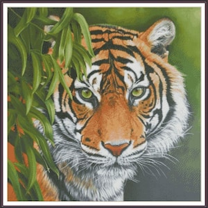 Tiger Wildkatze Savanna - Stickmuster Kreuzstich Anleitung PDF