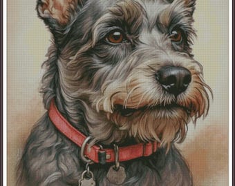 May include: A detailed portrait of a Schnauzer dog with a red collar and two dog tags. The dog has a black and gray coat, brown eyes, and a tan beard. The background is a soft, neutral color.
