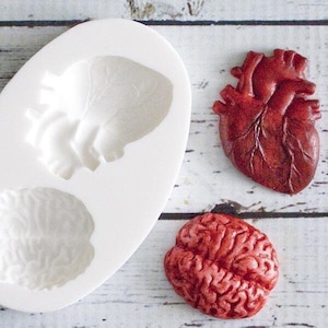 Anatomical heart & brain halloween gothic silicone craft mould food safe for cupcakes toppers fondant sugar paste crafts