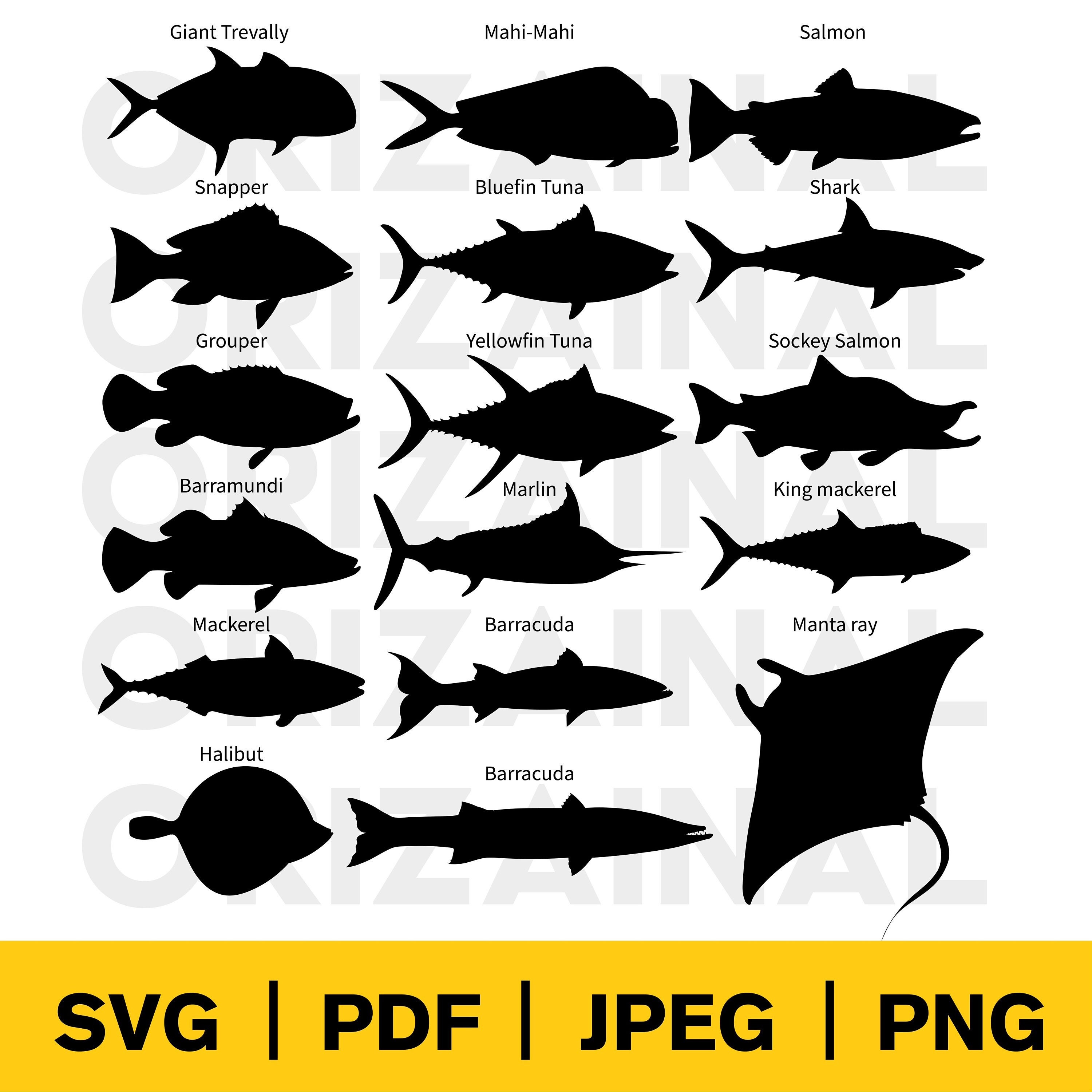 Fish Silhouette Svg Sea Fish Silhouette Ocean Fish Saltwater Fish Il Fullxfull.4539491905 5y8m