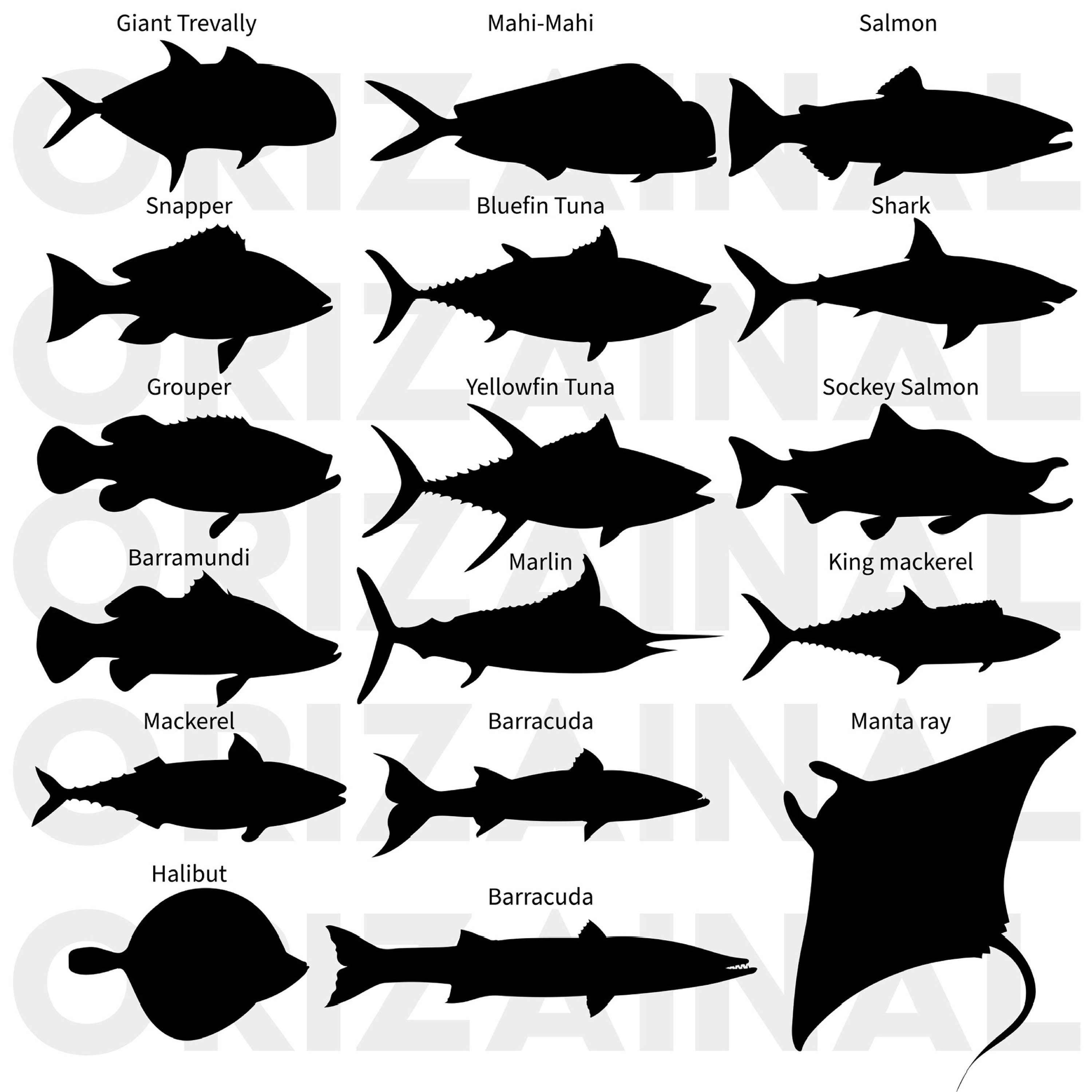 Fish Silhouette Svg Sea Fish Silhouette Ocean Fish Etsy