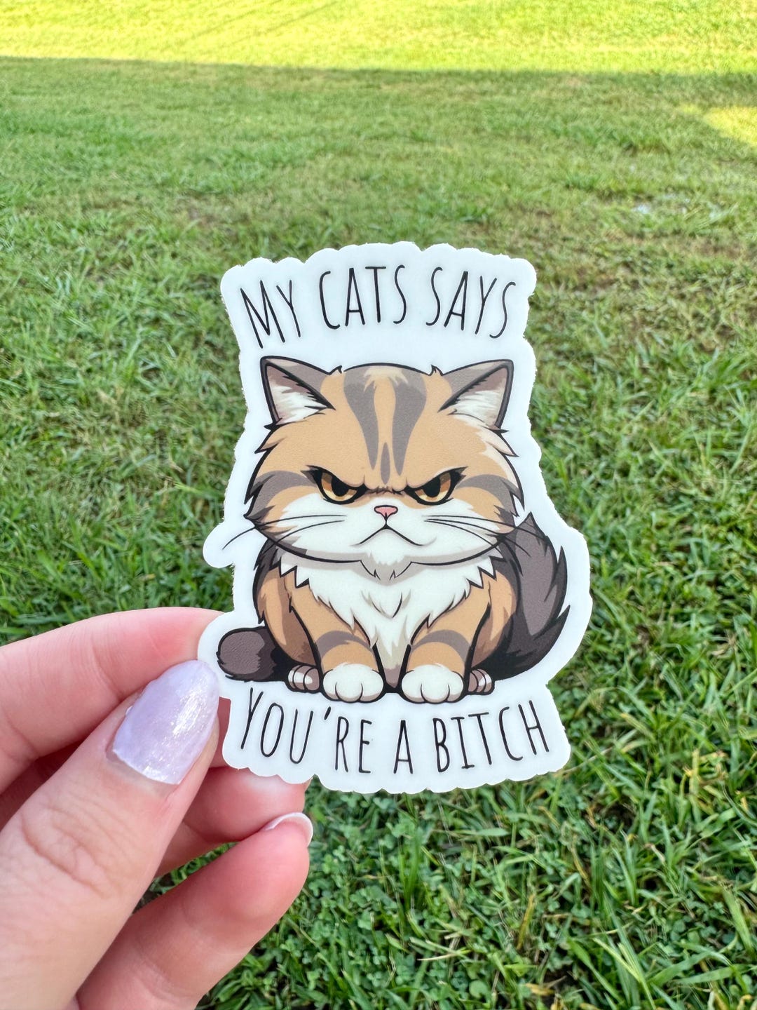 Cat Stickers, Vet Med Stickers, Vet Tech Gift, Veterinarian Gift, Cat ...