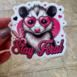 Funny Possum “Stay Feral” Sticker – Cute Trash Animal Vinyl Decal with Heart Glasses | Pink Aesthetic Possum Gift | Feral Girl Energy