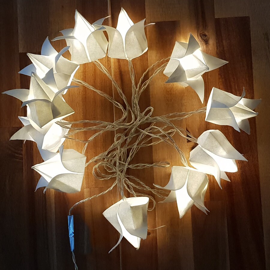 Guirlande Lumineuse Fleurs