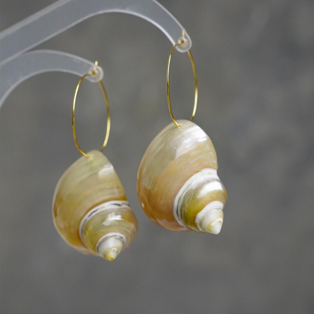 Real Shell Earing Natural Sea Shell Earrings, Large Shell Hoop Earring , Boho Chic Summer ...