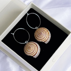 Wheel Conch Earrings Real Shell Earrings Hoop Mismatched Earrings Summer Boho Beach Jewelry