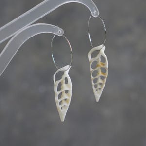 Op de afbeelding: Een paar oorbellen met crèmekleurige schelpenhangers, elk opgehangen aan zilverkleurige oorringen. De schelpenhangers hebben een open, bladachtig ontwerp met subtiele bruine accenten.
