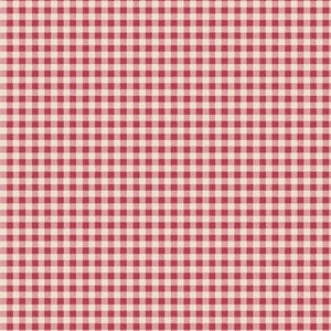 May include: A red and white checkered pattern, reminiscent of a classic picnic tablecloth.