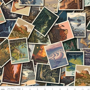 Cartes postales multiples pour parcs nationaux CD13290-MULTI | Riley Blake | Courtepointe