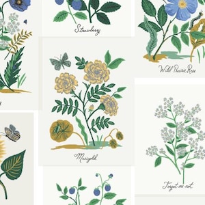 Canvas RP1101-BM4C Curio - Stampe botaniche - Tessuto tela multi colore blu Rifle Paper Co Cotton+Steel