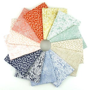 RP500P-FQR Rifle Paper Co. Basics Fat Quarter - Roll Rifle Paper Co