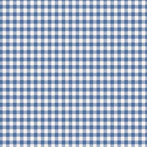 Può includere: Un motivo a quadretti vichy ripetitivo caratterizzato da una griglia di linee blu e bianche che si intersecano. Il design è composto da piccoli quadrati uniformi creati dalla sovrapposizione di strisce blu orizzontali e verticali su fondo bianco.