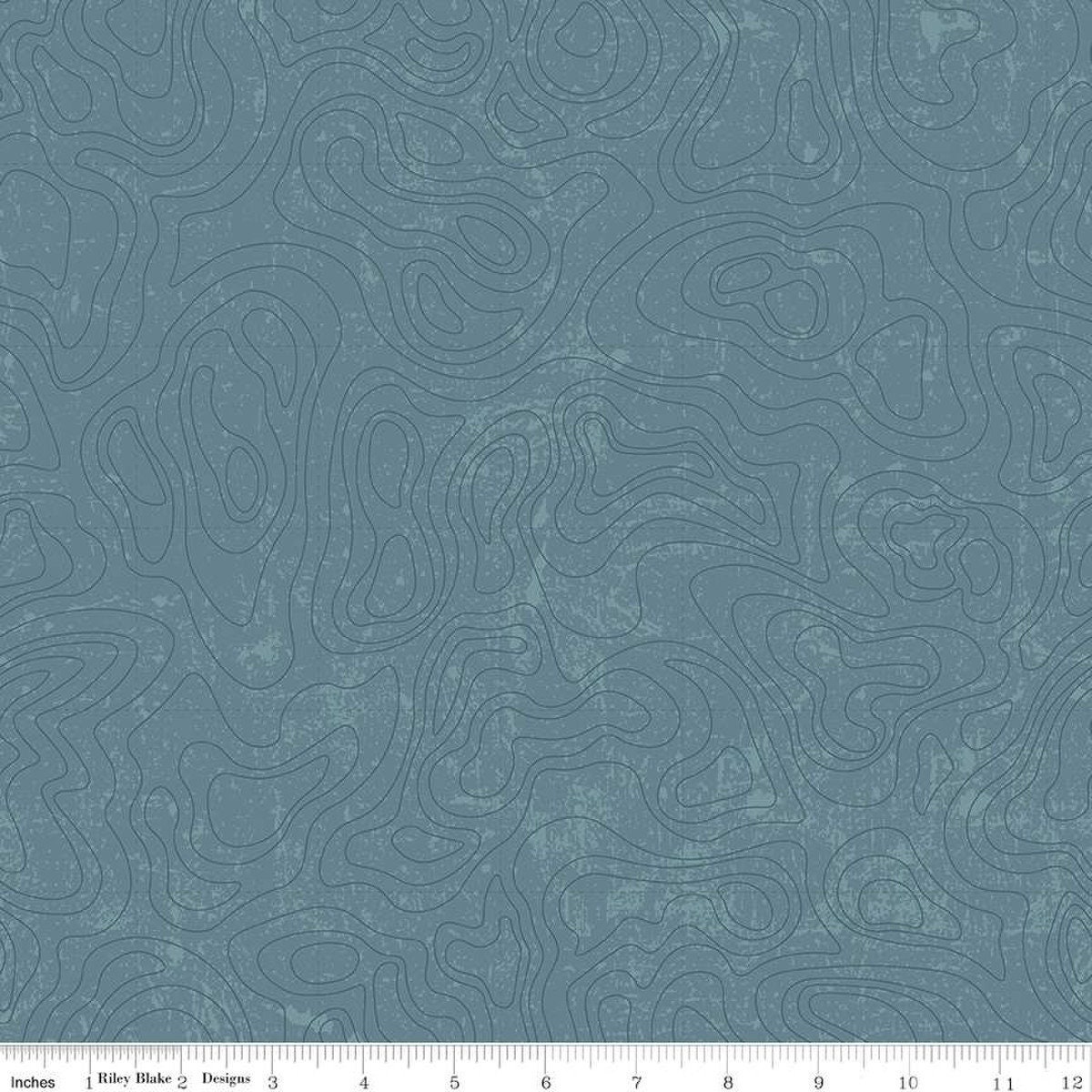 National Parks Topographic Blue C13293-BLUE Riley Blake Designs Quilting Baumwollstoff