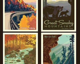 Panel de almohada de Parques Nacionales, Grandes Montañas Humeantes PP8797-SMOKY / Riley Blake / Edredón de Panel