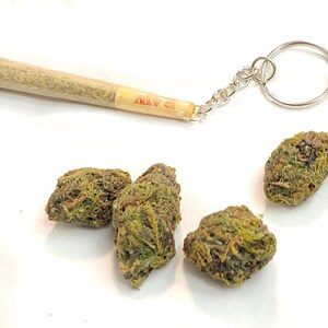 May include: A close-up of four small, green and brown cannabis buds, with a rolled joint and a silver keychain in the background.