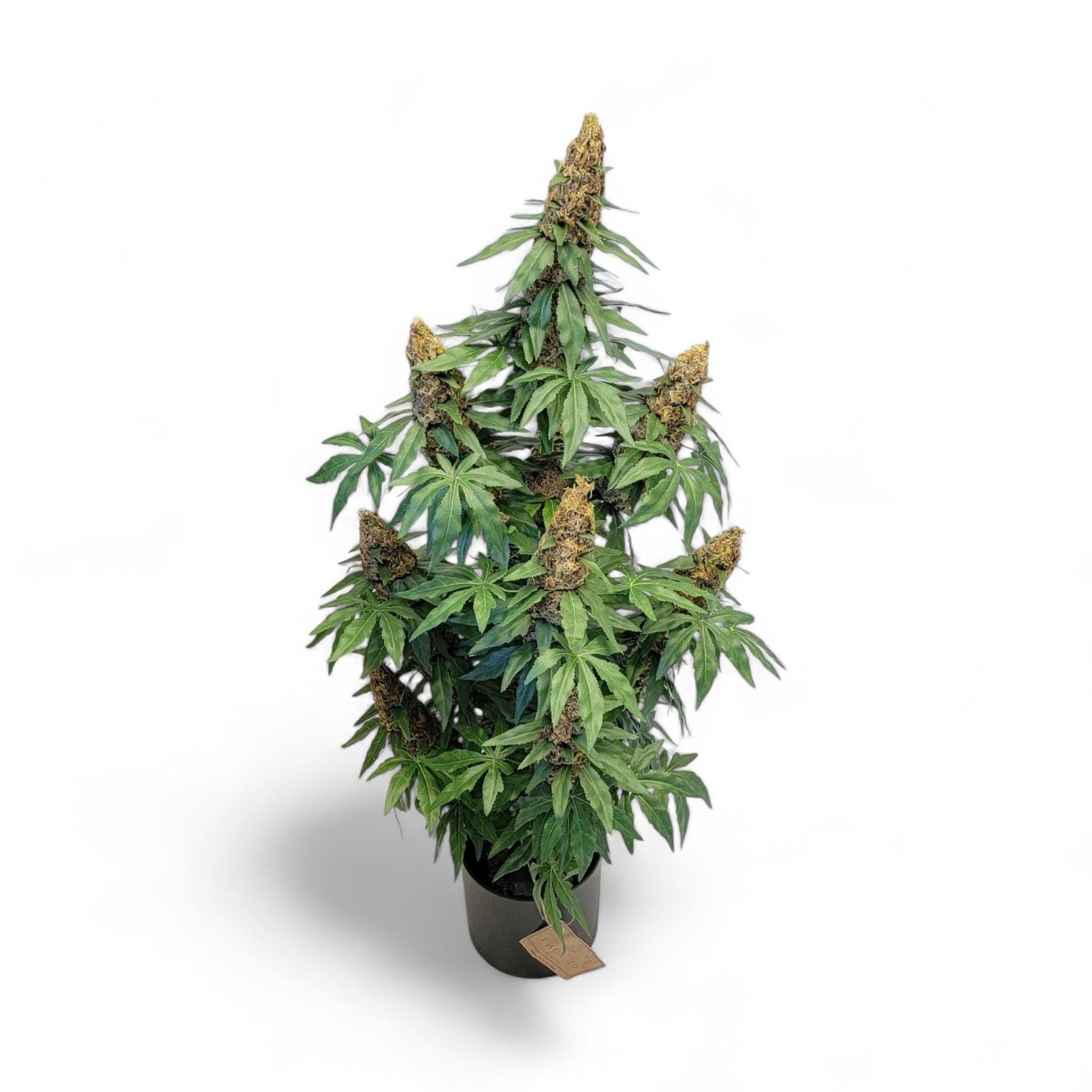 Fake cannabis plant - Etsy 日本 Fake cannabis plant - Etsy 日本