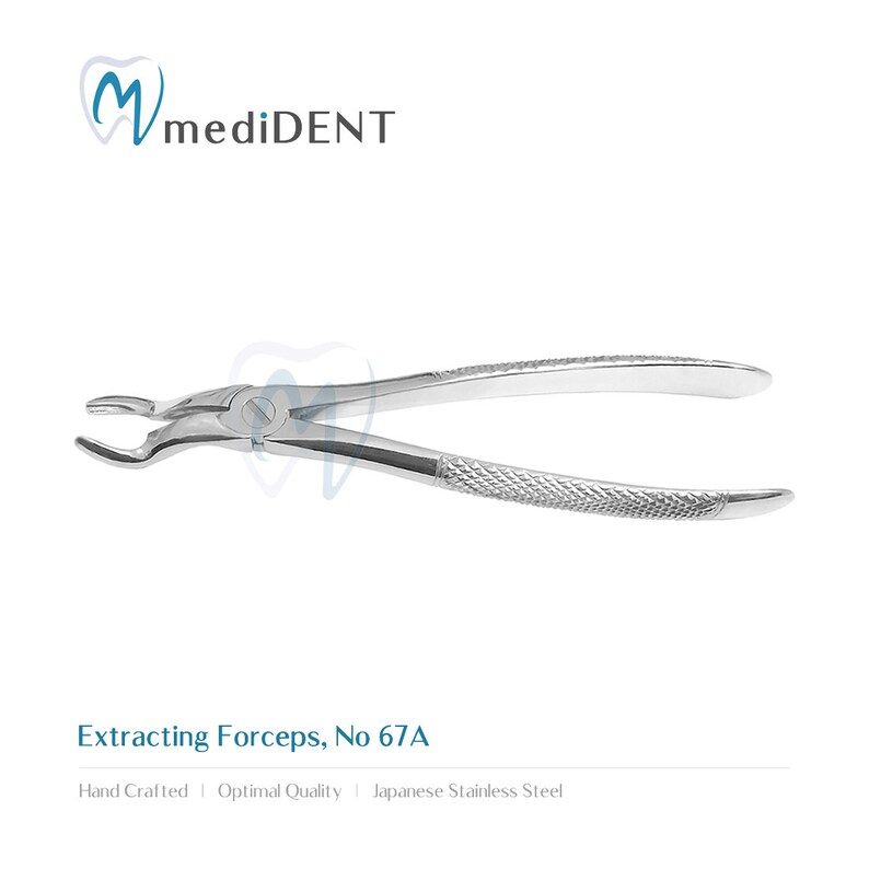 Pinces dextraction dentaire Extraction dentaire Fig 67a Molaires supérieures Nouveau CE image 3