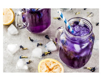 Una taza de té de amor de lavanda: tu dosis diaria de zen