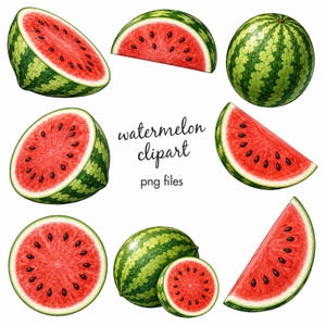 Op de afbeelding: Een verzameling watermeloen clipart afbeeldingen. De afbeeldingen tonen hele watermeloenen en plakken, met het rode vruchtvlees en de zwarte zaden. De watermeloenen hebben groen en geel gestreepte schillen. Tekst luidt "watermelon clipart png files."