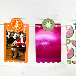 Fruit Photo Banner: Summer Birthday, Milestone Party Decor