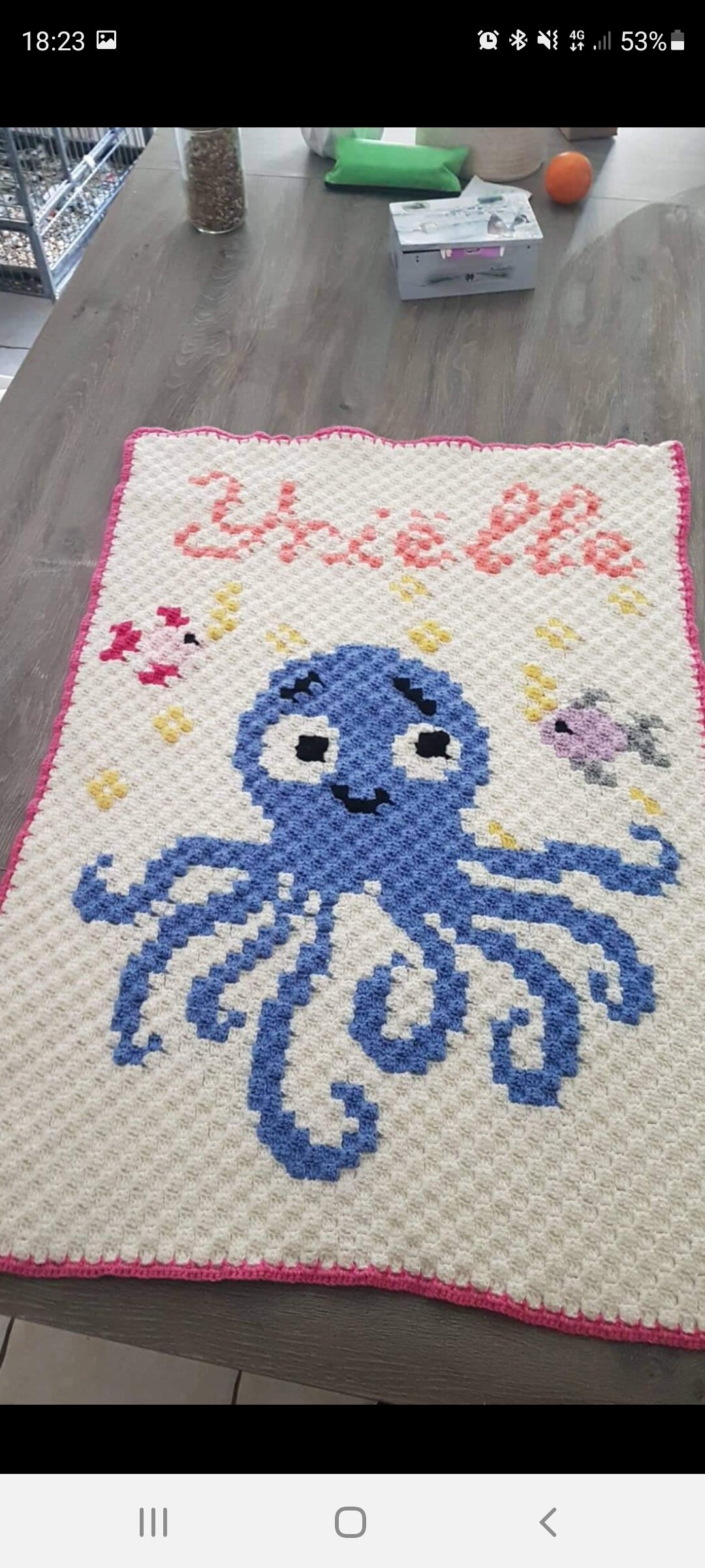 Couverture Bébé à Personnaliser avec Un Prénom et Motif, La Taille Que Vous Souhaitez Aussi.