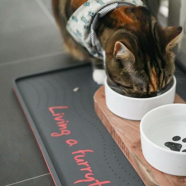 KITTYRAMA Chilli Pet Food Mat. Limited Edition. Stylish, Dual-sided Mat. Fits 2/3 Pet Bowls. Contains Water & Mess. Stays Firm, Grips Floor