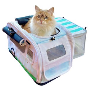 May include: A fluffy, light brown cat sits inside a light blue and white pet carrier. The carrier is designed to look like a camper van, with a green and white striped awning and a mesh side window. A matching carrier bag is attached.