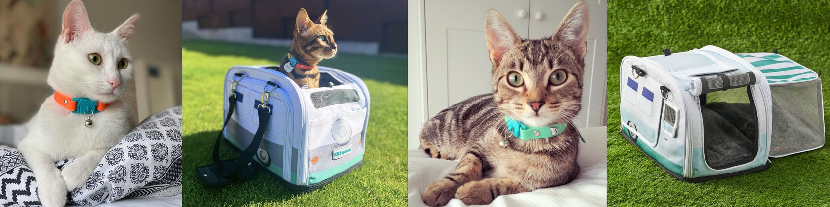 Kittyrama Tischset Für Haustiere – Doppelseitig, Leicht Zu Reinigen, Für Katzen, Hunde & Kaninchen (Chilli-Design)