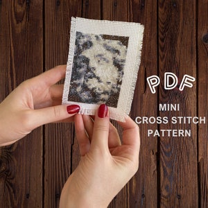 Könnte beinhalten: Nahaufnahme einer Hand, die einen kleinen weißen Stoff mit einem schwarz-weißen Kreuzstichmuster hält. Der Text "PDF MINI CROSS STITCH PATTERN" ist unter dem Stoff gedruckt.