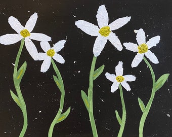 Daisy