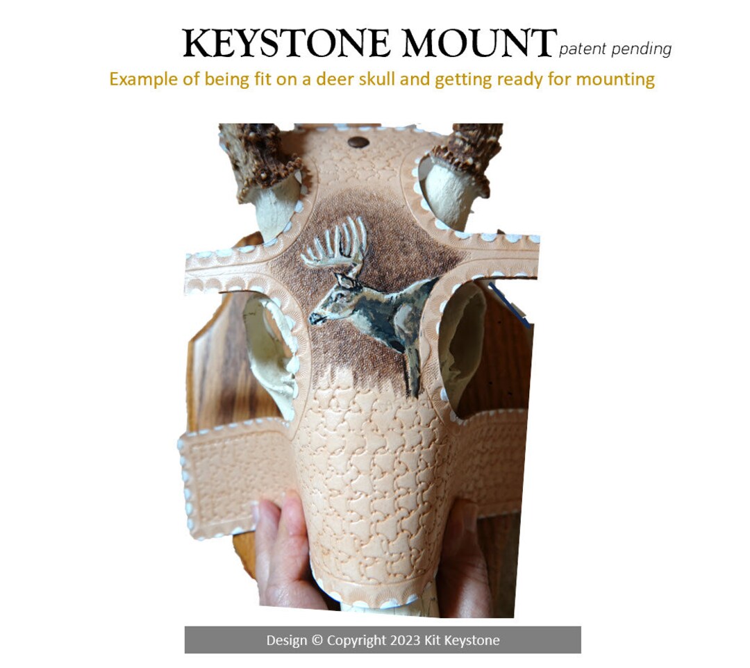Deer Skull Mount DIY Kit Whitetail Deer Tooled and Painted on Etsy