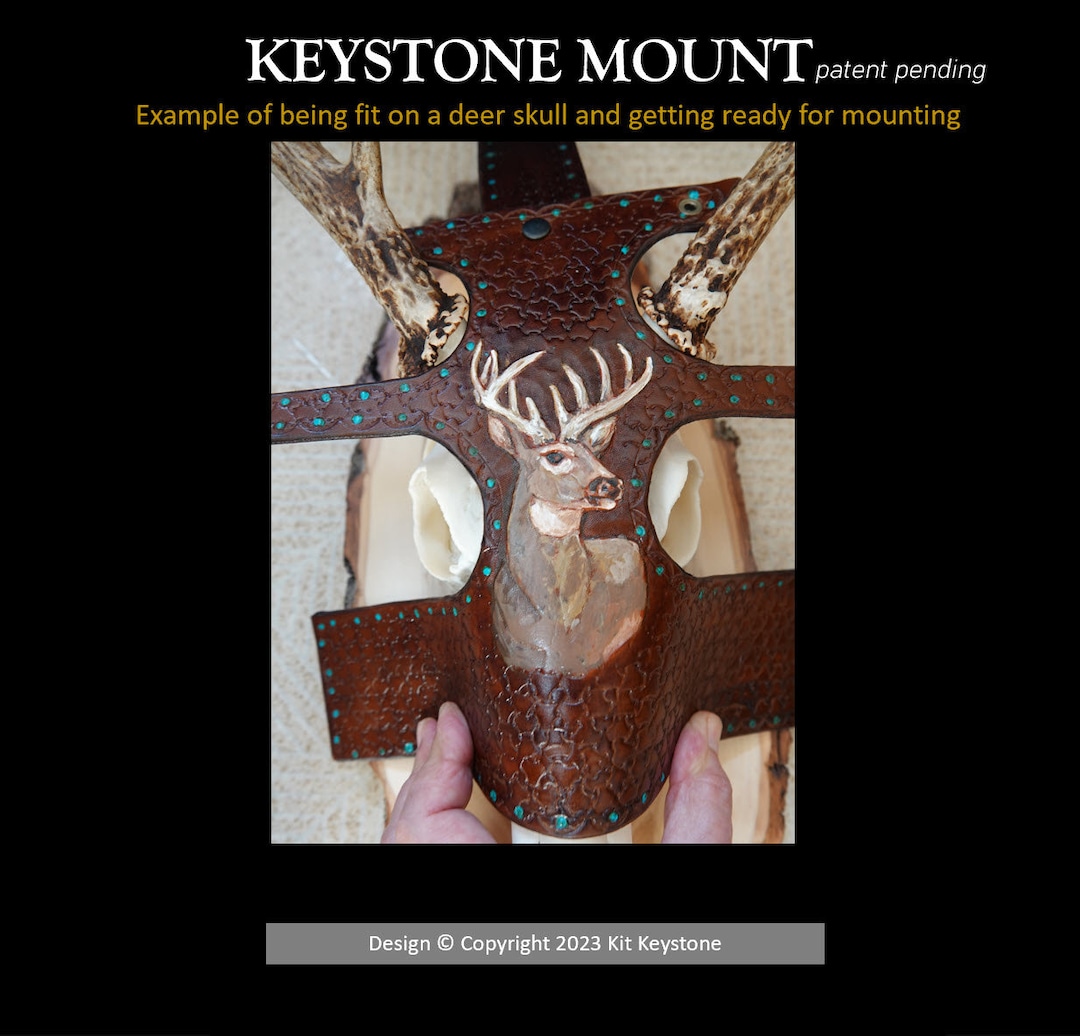 Deer Skull Mount DIY Kit Whitetail Deer Tooled and Painted Etsy