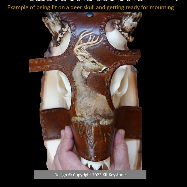 Deer Skull Mount DIY Kit, Whitetail Deer Tooled and Painted on Leather, the original KEYSTONE MOUNT (pat. pend.), for Desktop or Wall (DT17)