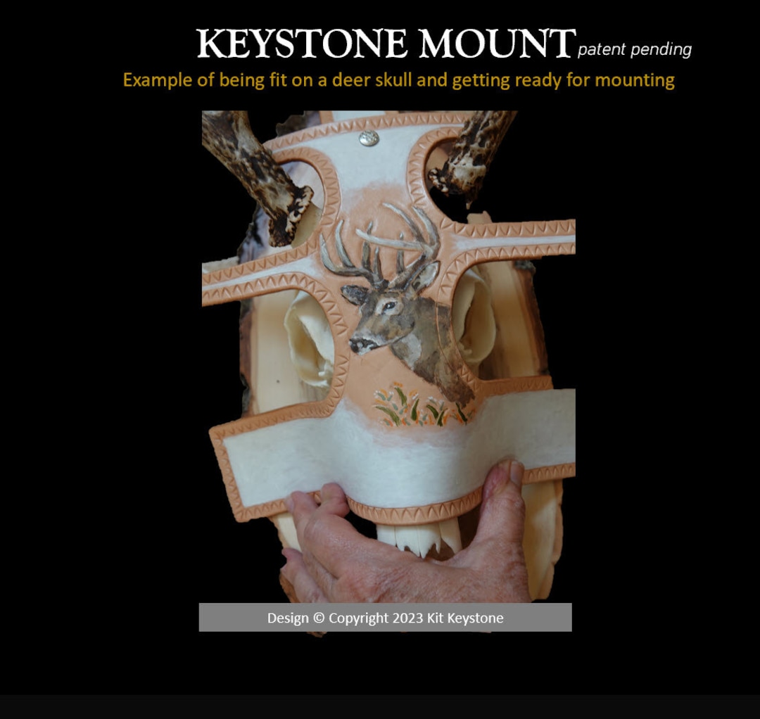 Euro Skull Mount DIY Kit Whitetail Deer Tooled and Painted on Etsy