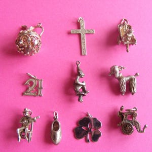 May include: A collection of silver charms, including a cross, a pitcher, a poodle, a leprechaun, a number 21, a shoe, a four-leaf clover, a carriage, and a musician playing a guitar. The charms are displayed on a pink background.