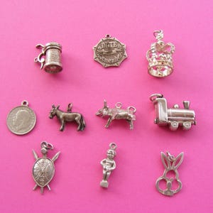 May include: A collection of silver charms, including a beer stein, a crown, a train, a donkey, a pig, a shield, a coin, a small figure, and a rabbit. The charms are displayed on a bright pink background.