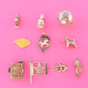 Puede incluir: Una colección de pequeños amuletos vintage en varias formas y diseños. Incluye un caballito de mar, un balón de fútbol, un perro, una bandera, un libro con el texto "HOLY BIBLE", un mapa, un caballo y un par de corazones con una flecha. Los amuletos son dorados.