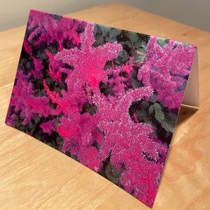 Cartão de flor rosa