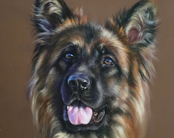 May include: A close-up portrait of a German Shepherd dog with brown and black fur. The dog has a pink tongue sticking out and is looking directly at the viewer.