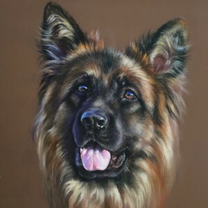 Dierenportret | Dierenportret op maat | Pasteltekening | Dierenportret op maat | Hondenportret | Pastel dierenportret | Hondenportret op maat