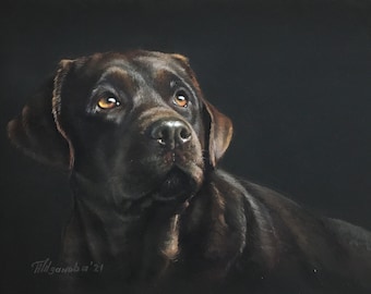 pet portrait | custom pet portrait | pastel drawing | pet portrait custom | dog portrait | Pastel pet portrait | custom dog portrait